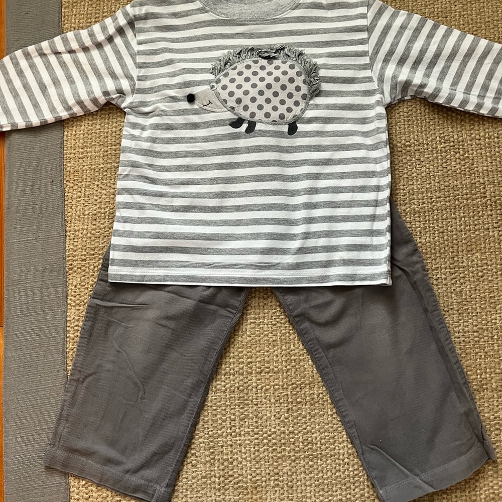 Bailey Boys 3T Long Sleeve Pant Set Hedgehog